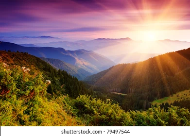 Illegal string offset